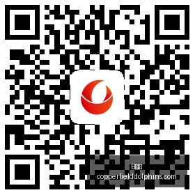 电竞游戏新,版本发布,玩家热议新,B体育,B体育平台,B体育注册,B体育登录