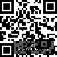 电竞赛事停,赛争议,官方发声回,B体育,B体育平台,B体育注册,B体育登录